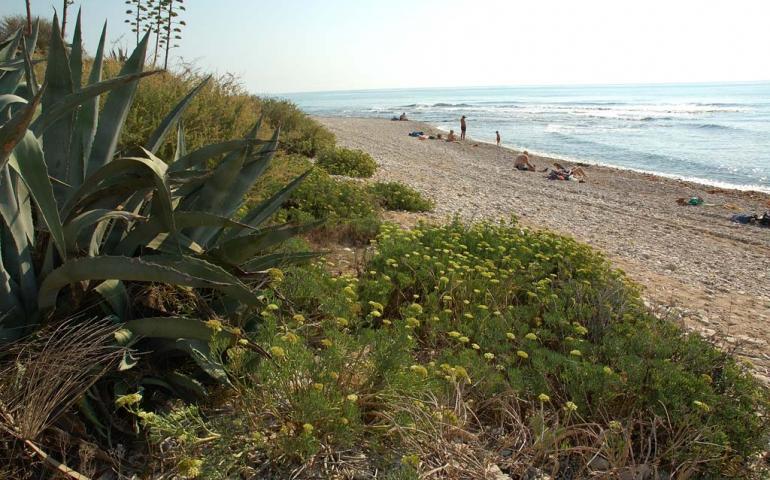 Playa d'Aiguadoliva