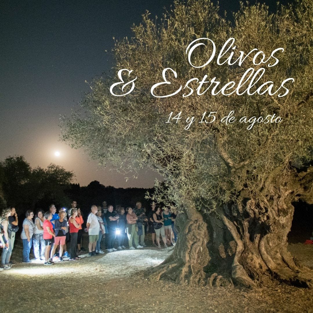  Oliveres Nocturna oliveres & Estels 