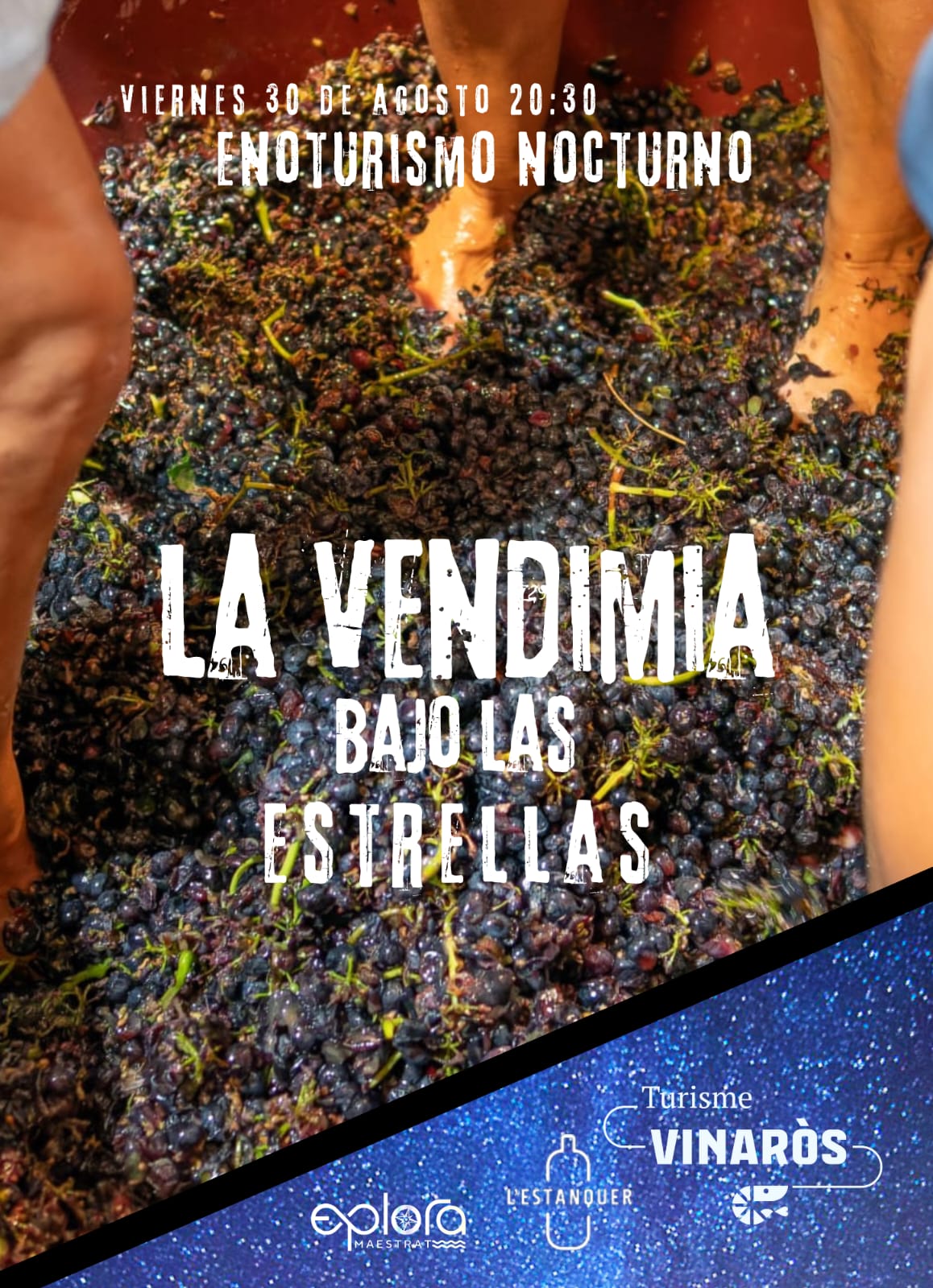 Visita guiada, Vendimia, bajo las estrellas, vino