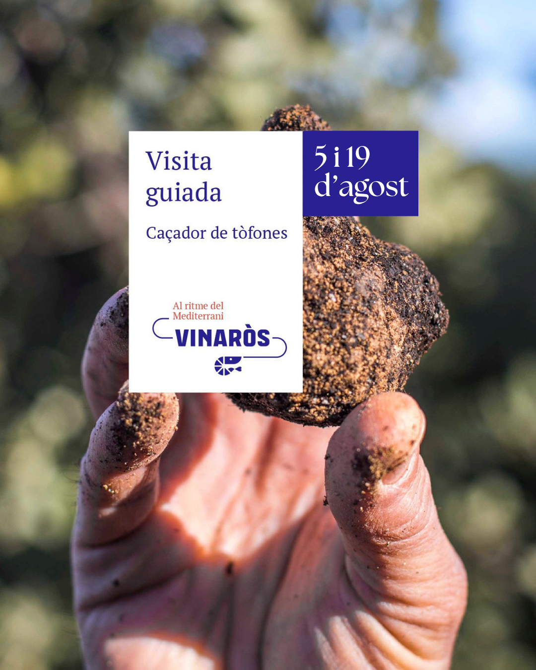 Visita guiada: Cazadores de Trufas en el Puig de Vinaròs 2025